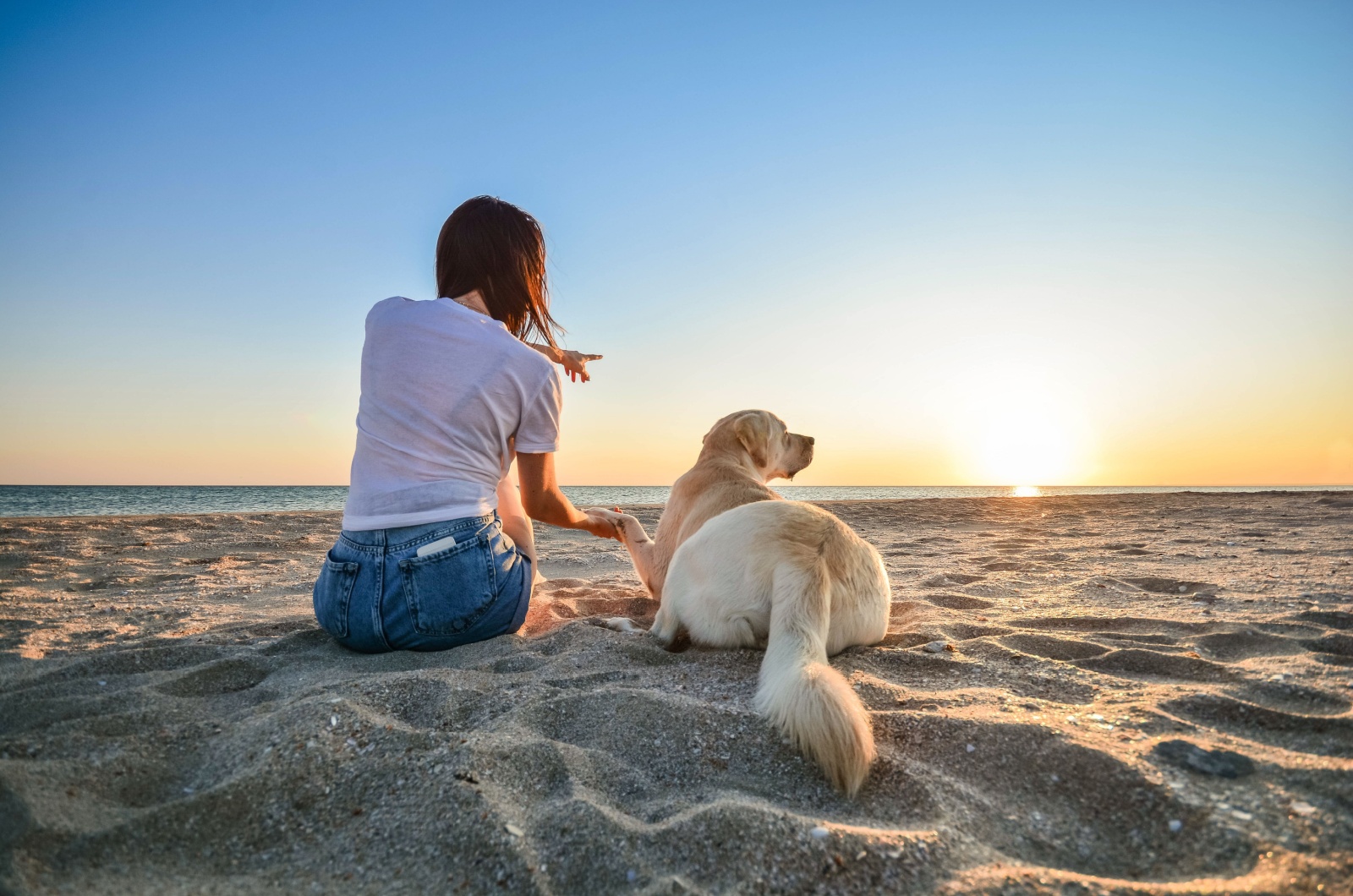 owner and dog on a beach