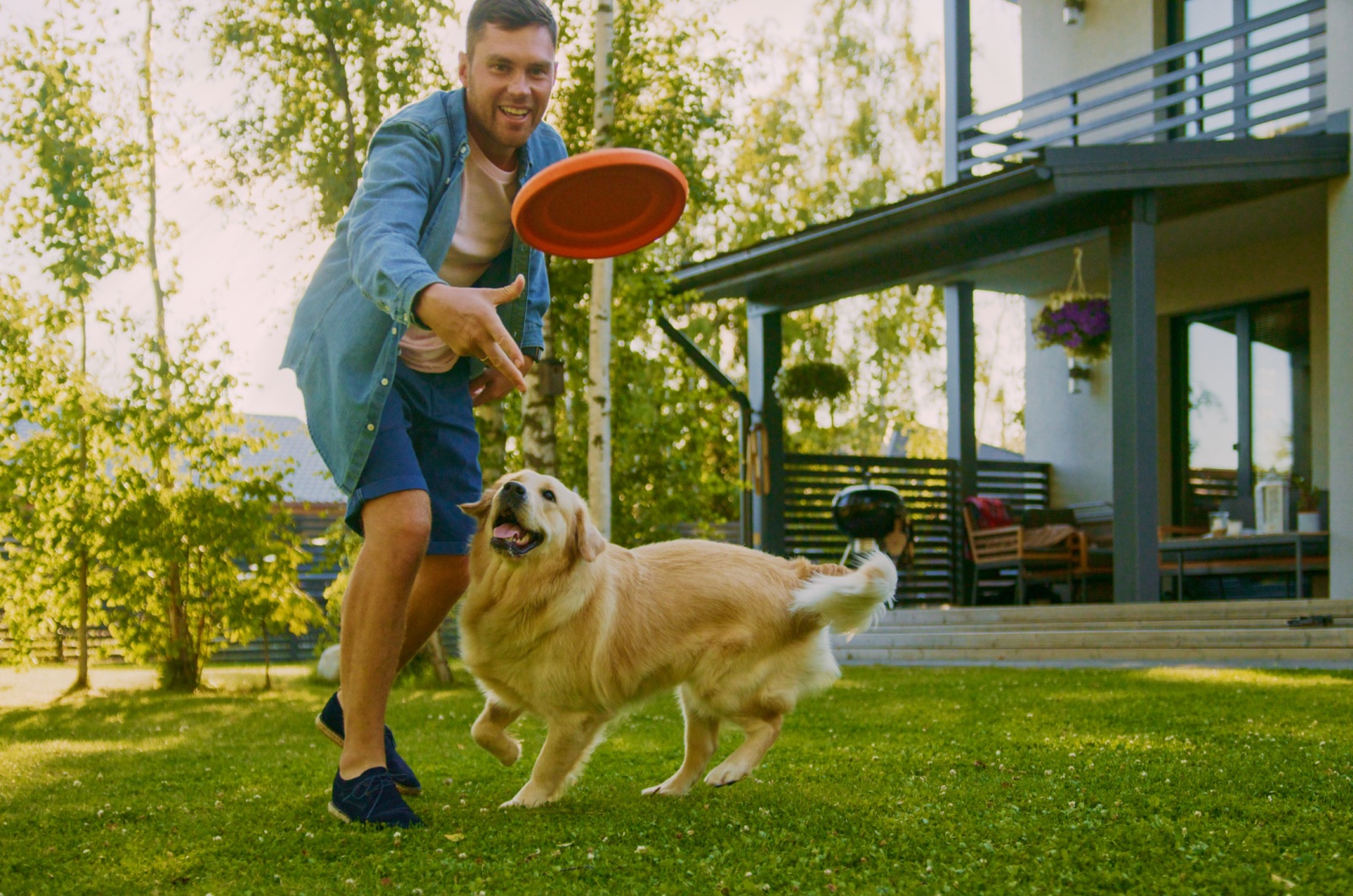 owner and dog playing fetch