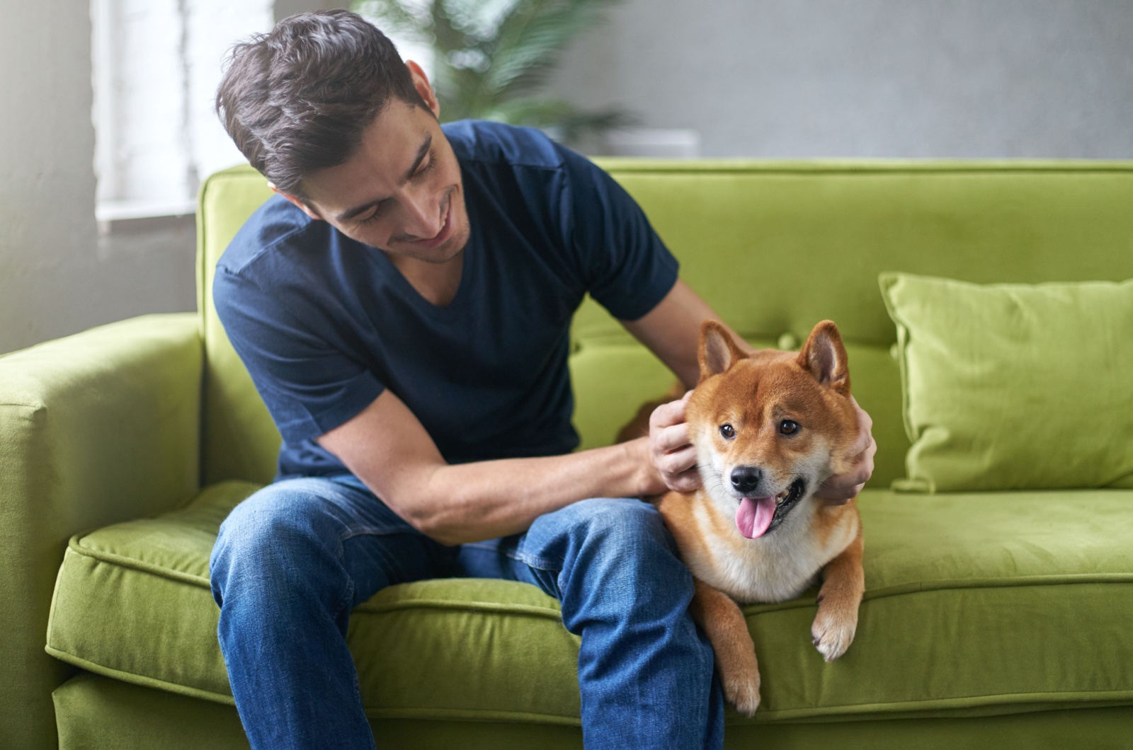 owner and dog sitting on sofa