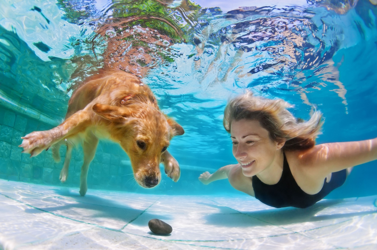 owner and dog swimming