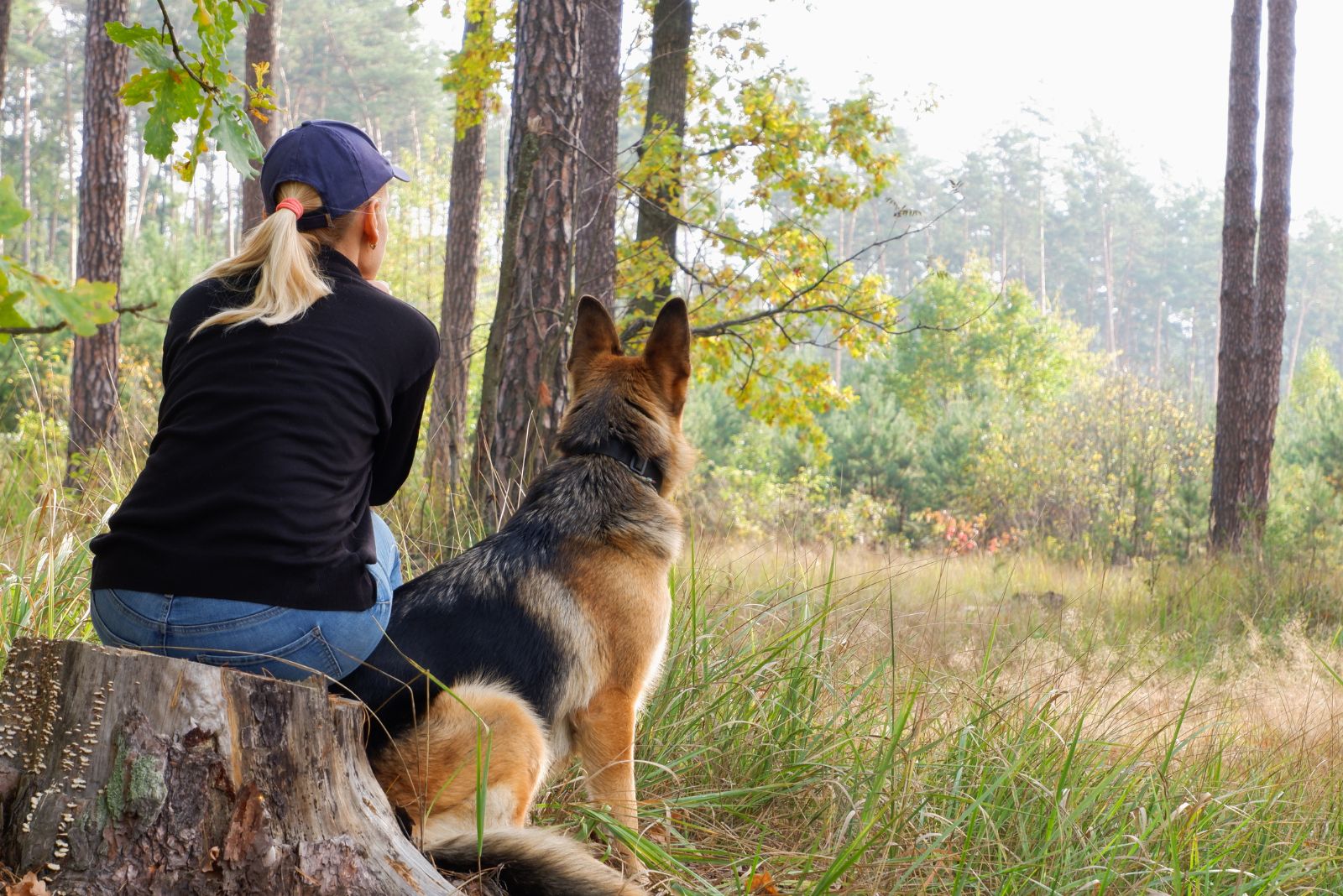 woman and gsd