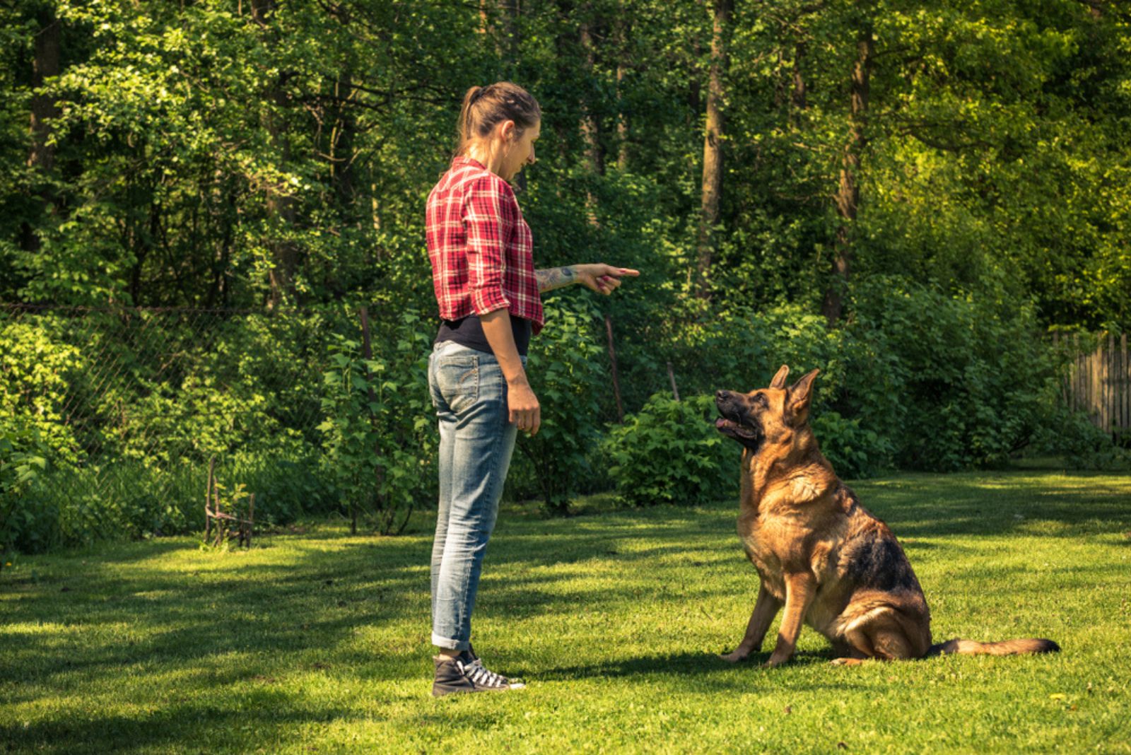 woman commands german shepherd to sit