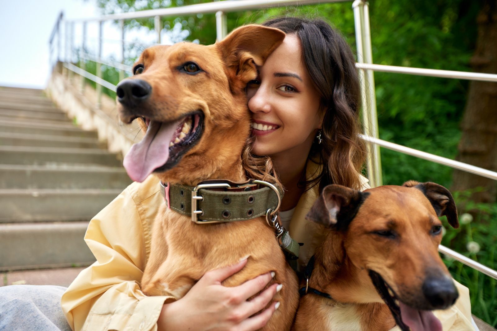 woman hugs dogs