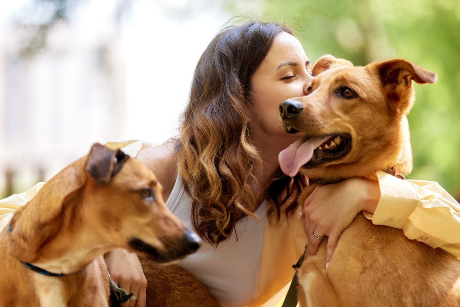 woman kissing her dogs