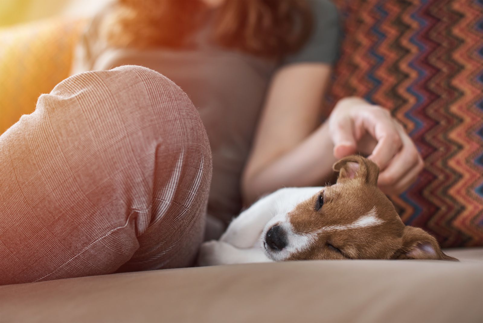 woman petting a puppy