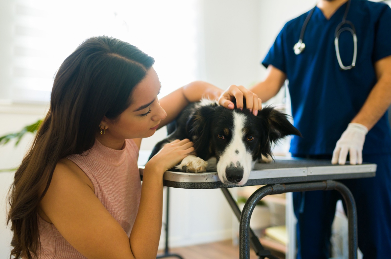 woman saying goodbye to her sick old dog