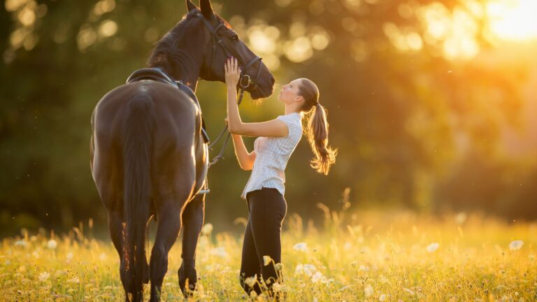 10 Calm And Gentle Horse Breeds Suitable For Beginners