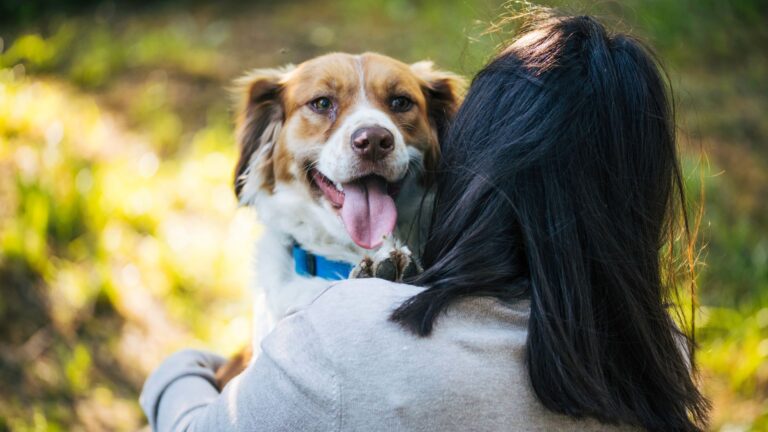 11 Loyal Dog Breeds That Will Be Your Best Friend For Life
