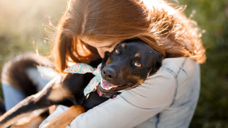 12 Surprising Ways Dogs Transform Our Mental Health