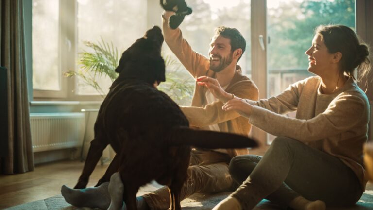 13+ Family-Friendly Dog Breeds That’ll Bring Nothing But Joy To Your Home