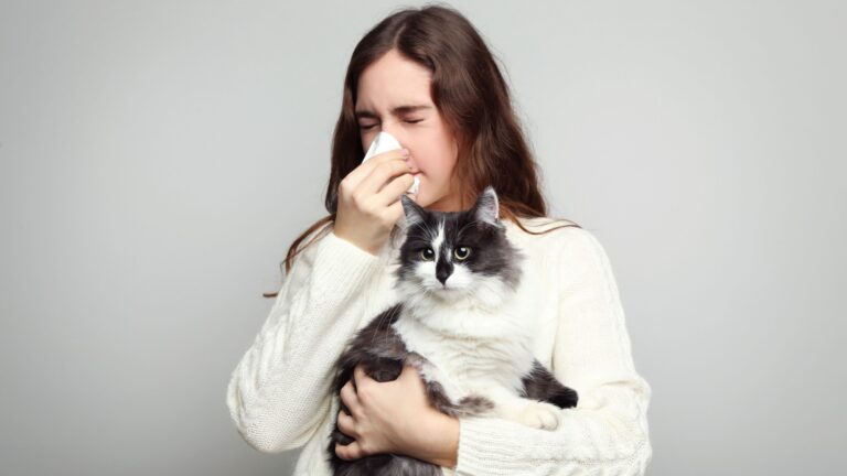 15 Cat Breeds Allergy Sufferers Should Think Twice About
