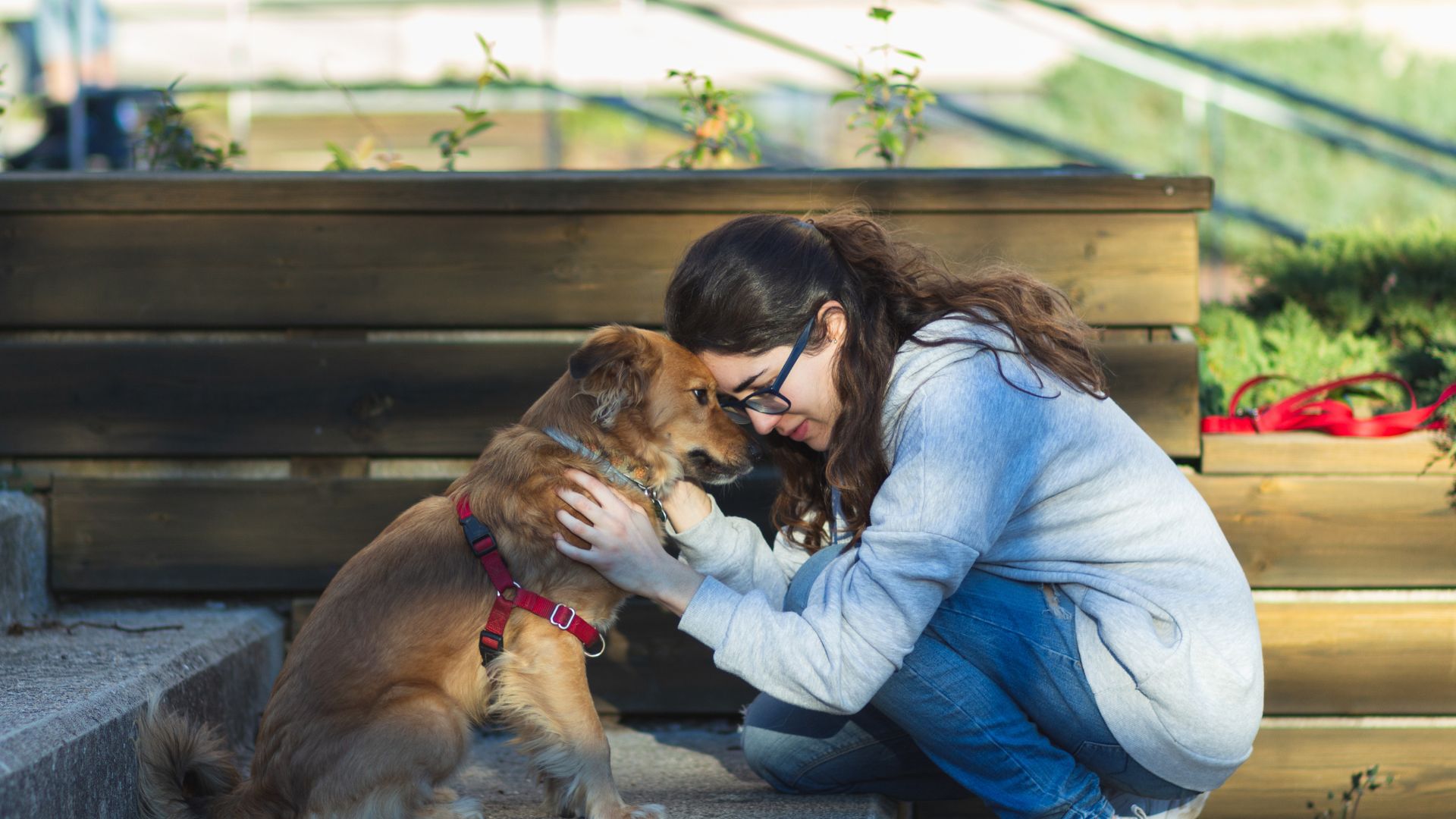 20 Incredible Therapy And Emotional Support Animals That Make A Difference