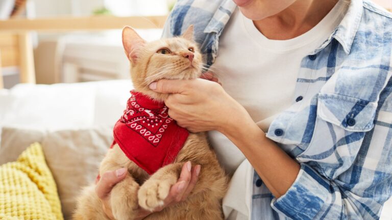 8 Cats Who Get You Better Than Anyone Else Ever Could