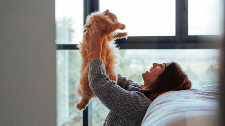 9 Cats That Will Instantly Lift Your Spirits When You’re Feeling Down