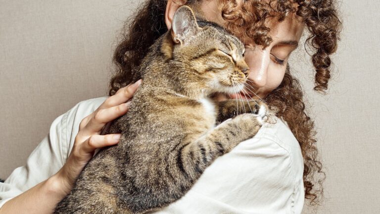 9 Reasons Cats Will Win Your Heart Before Any Dog Has A Chance
