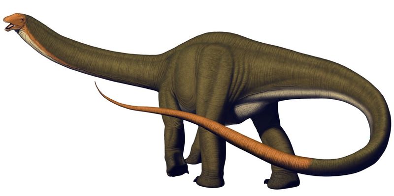 Apatosaurus