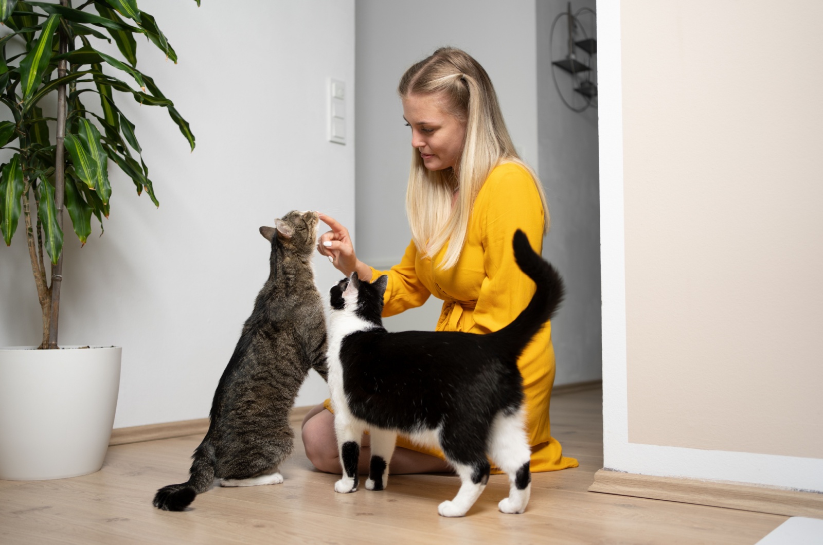 Blonde woman and two cats