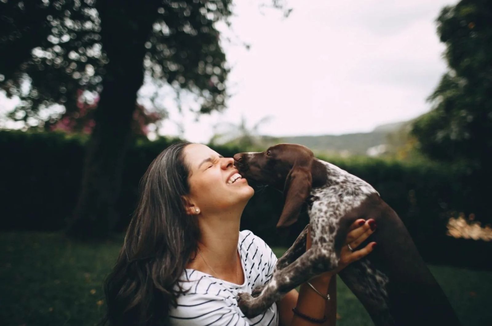 Blue Tick Beagle and woman