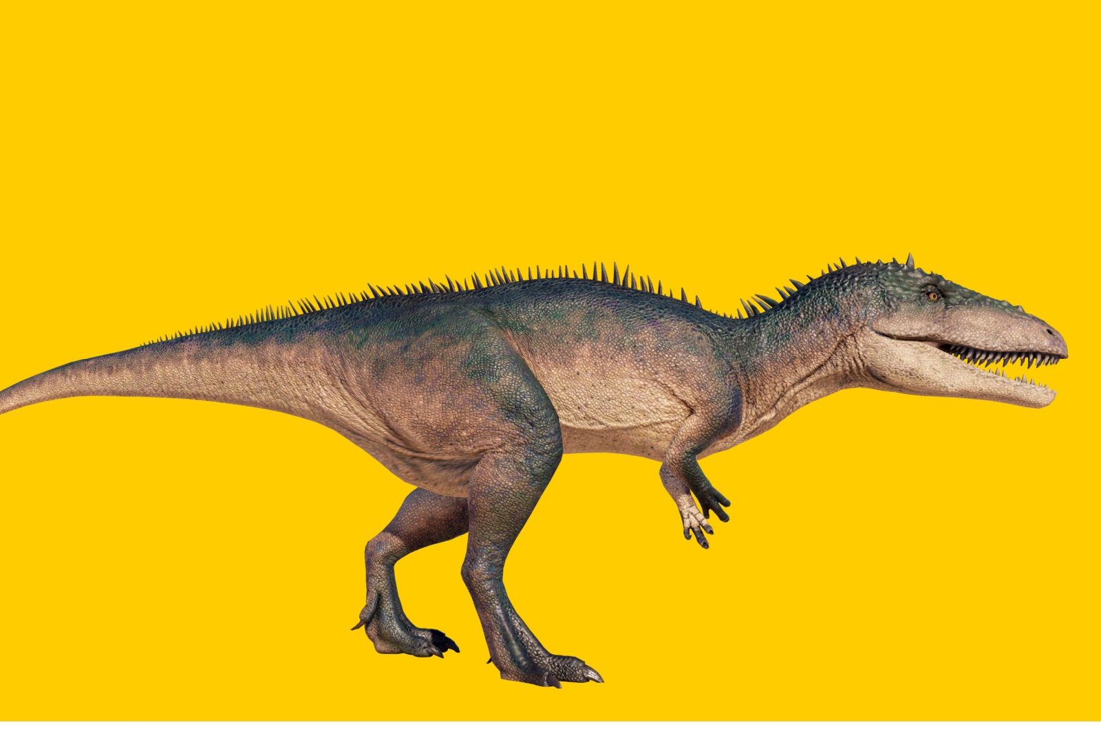 Carcharodontosaurus