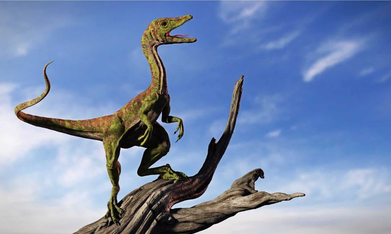 Compsognathus