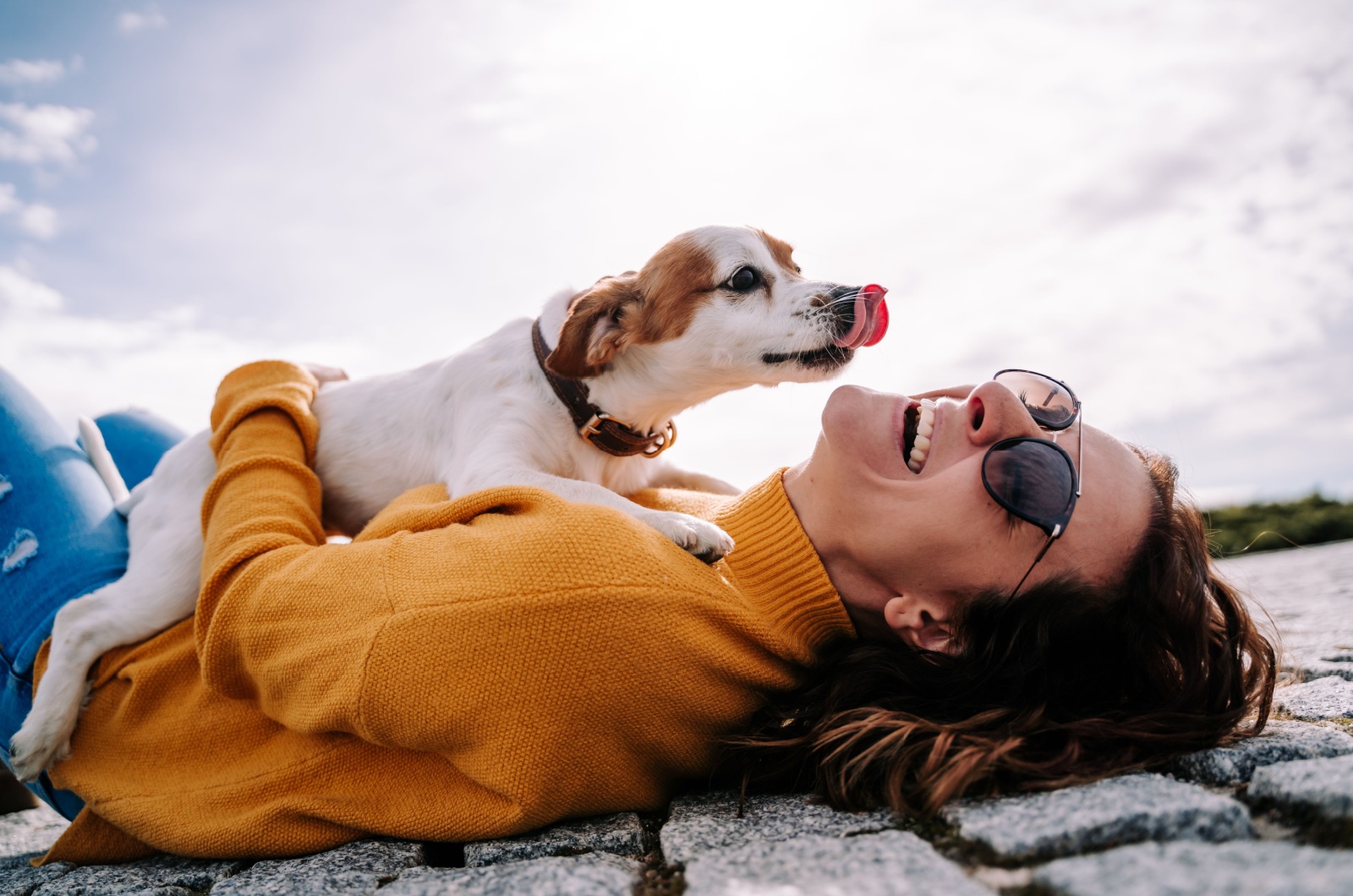 Dog licking a woman