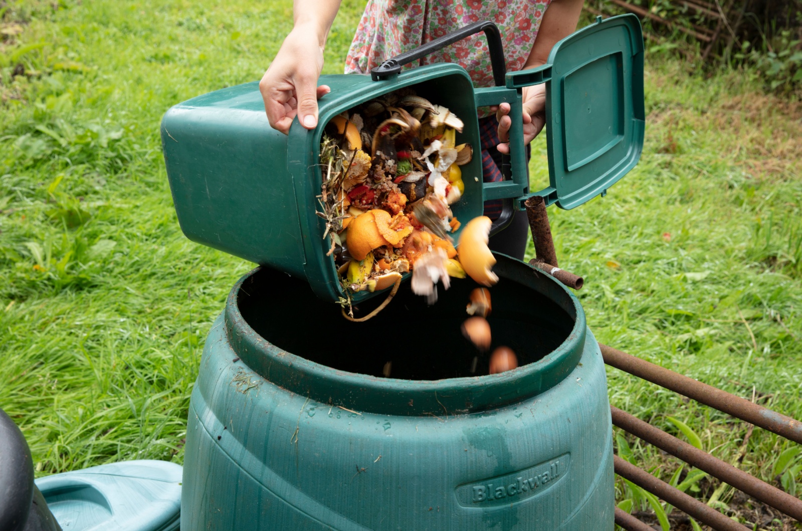 Food Scraps