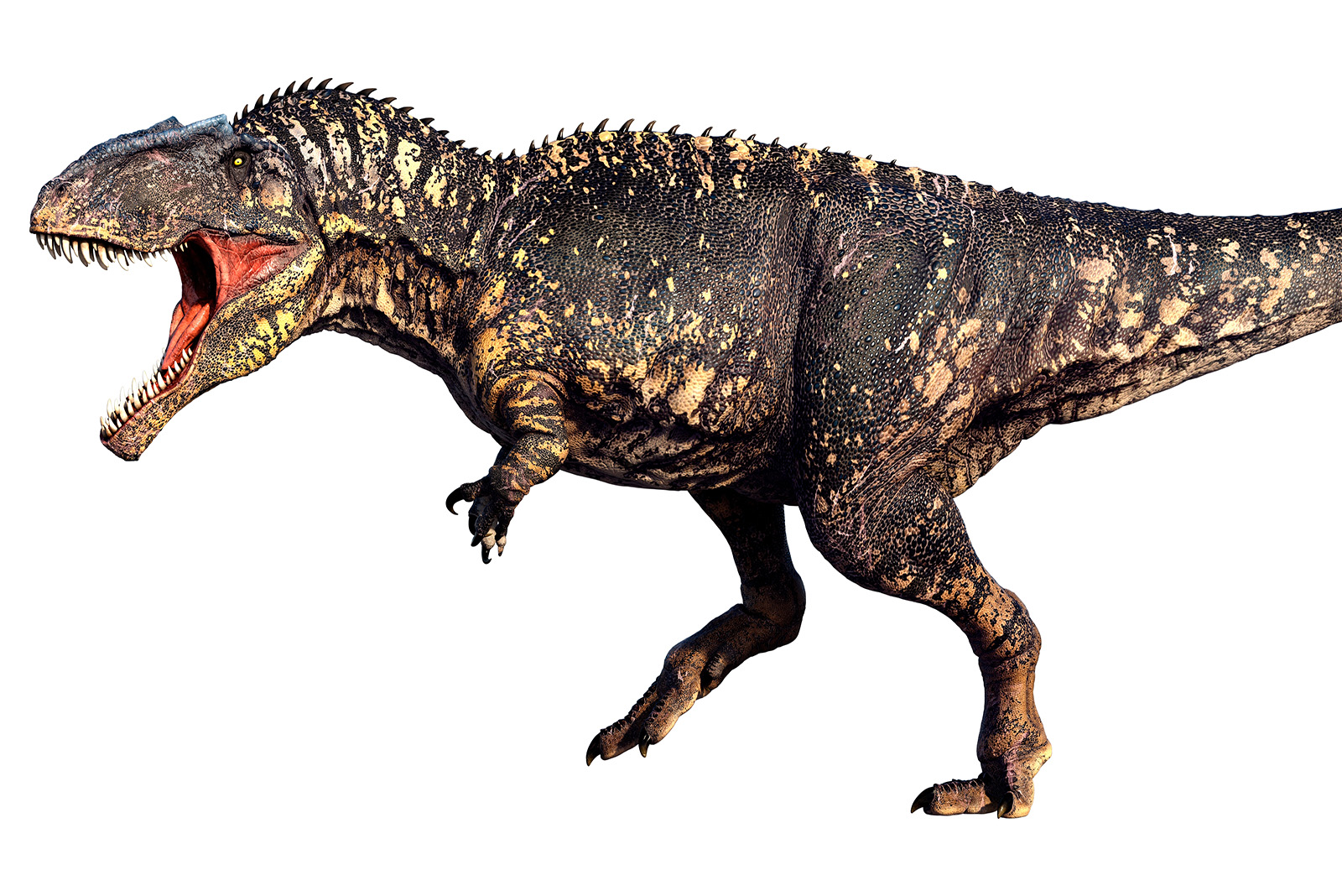 Gigantosaurus