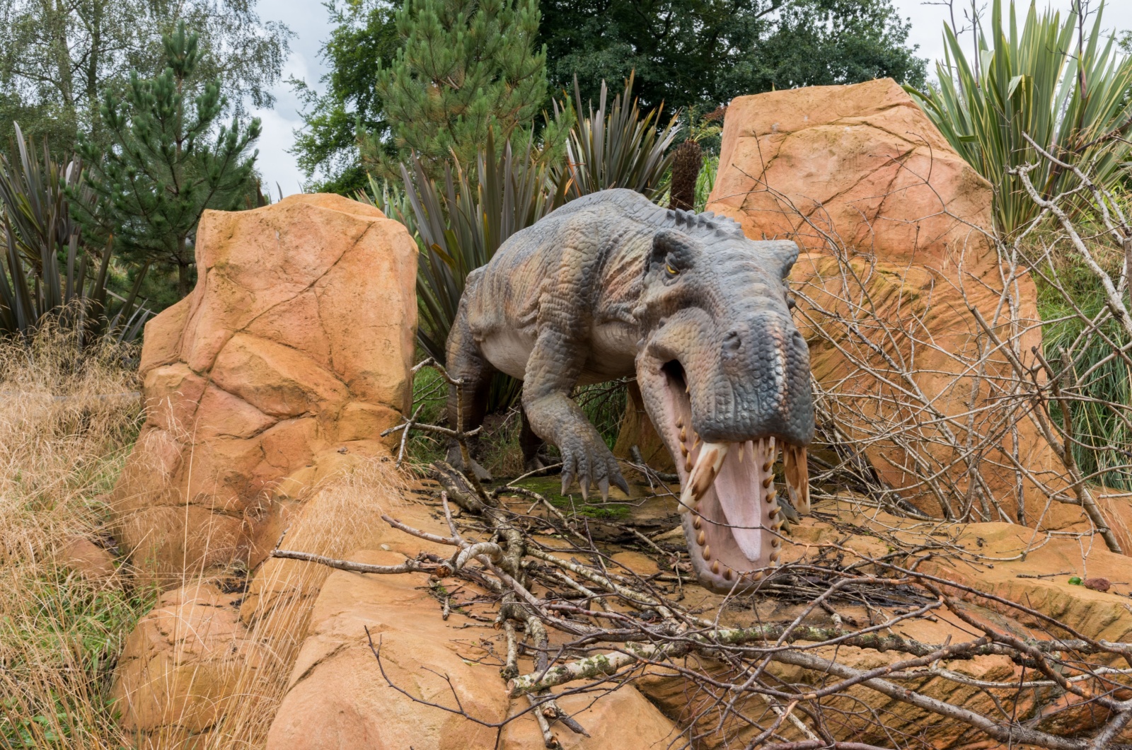 Gorgonopsid