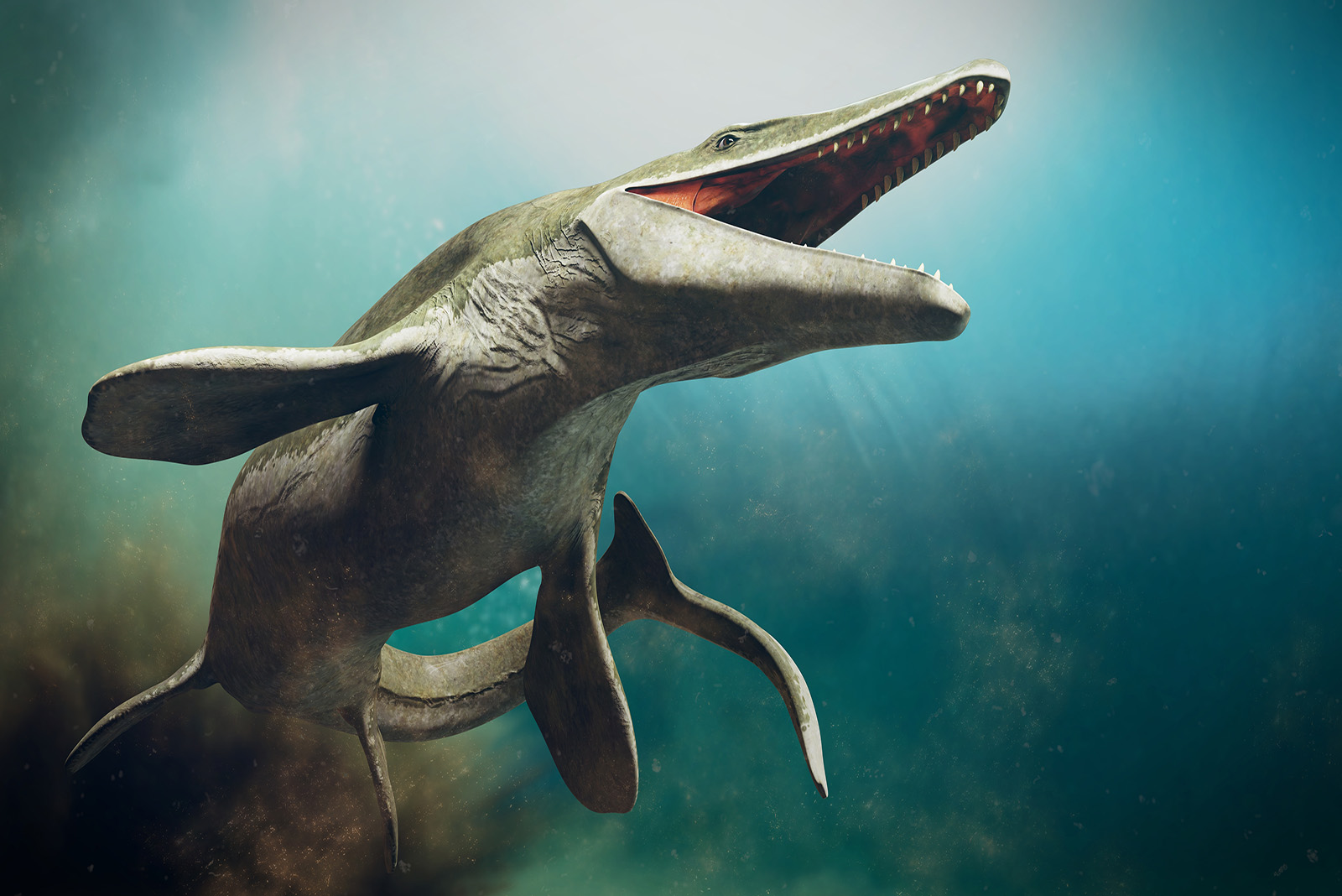 Liopleurodon