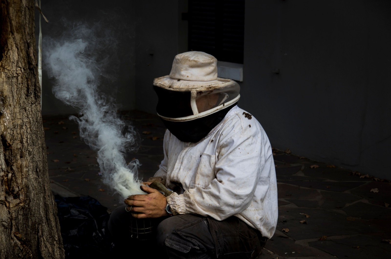 Man removing a bee hive with smoke