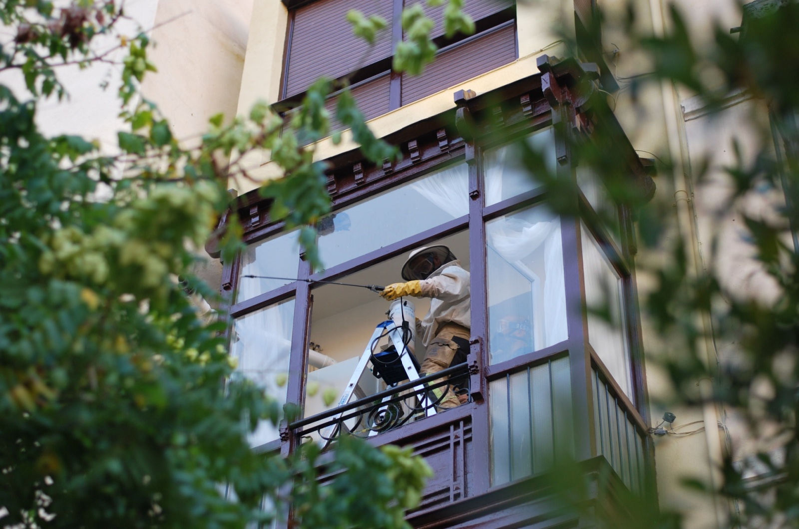 Man removing a bee hive