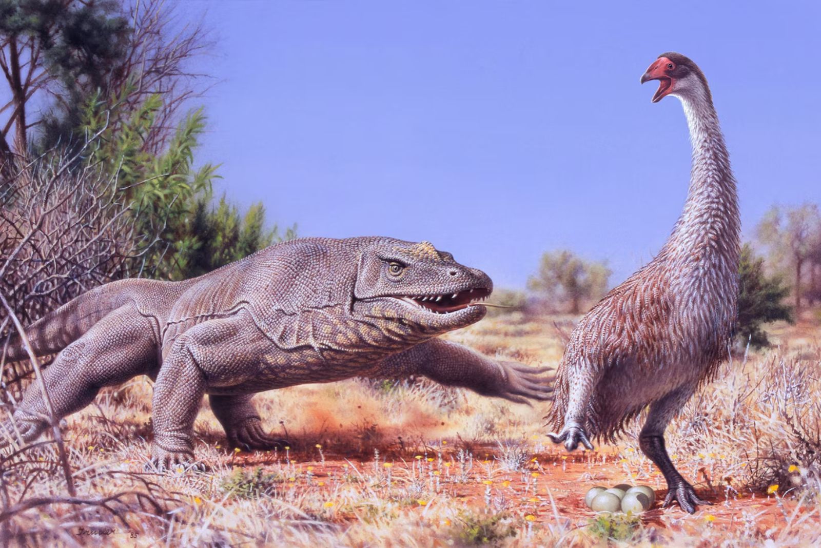 Megalania