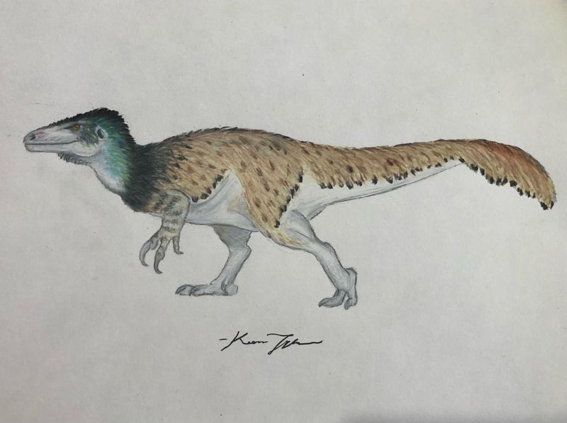 Megaraptor