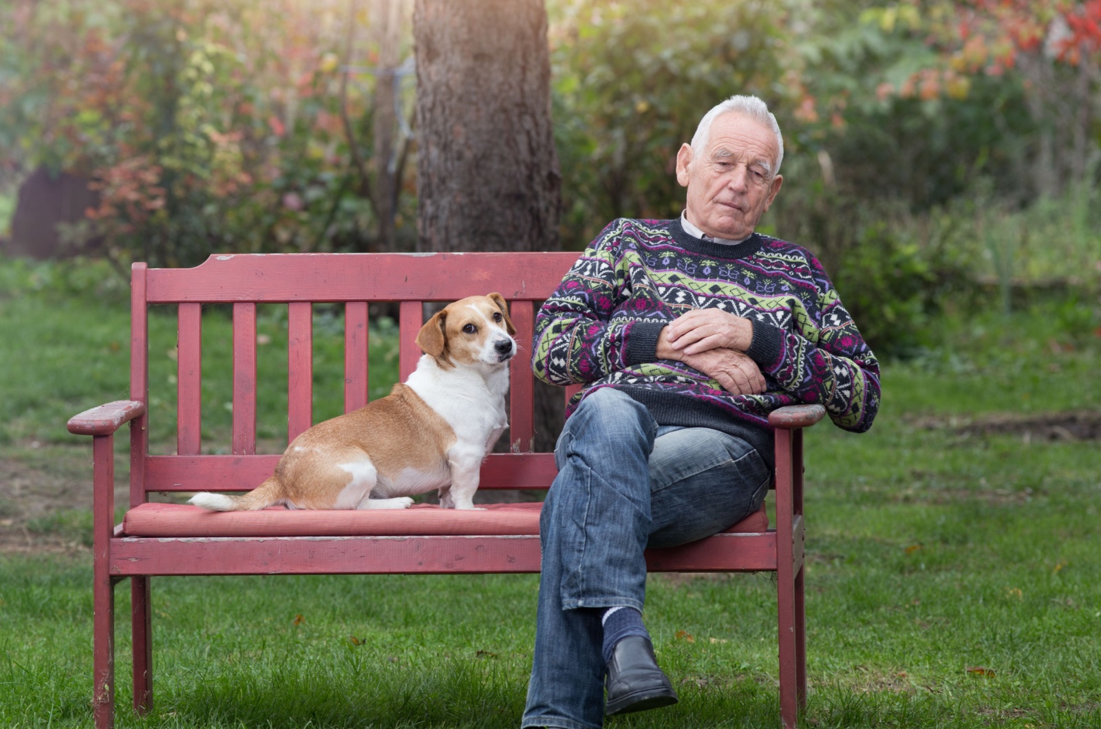 Old Man and dog