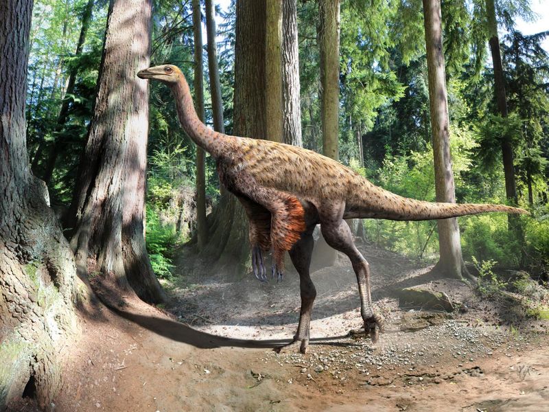 Ornithomimus