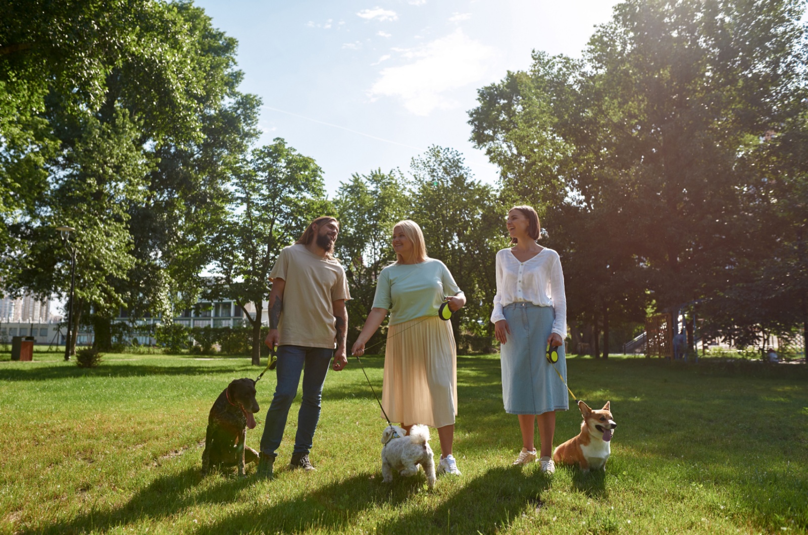 People and dogs