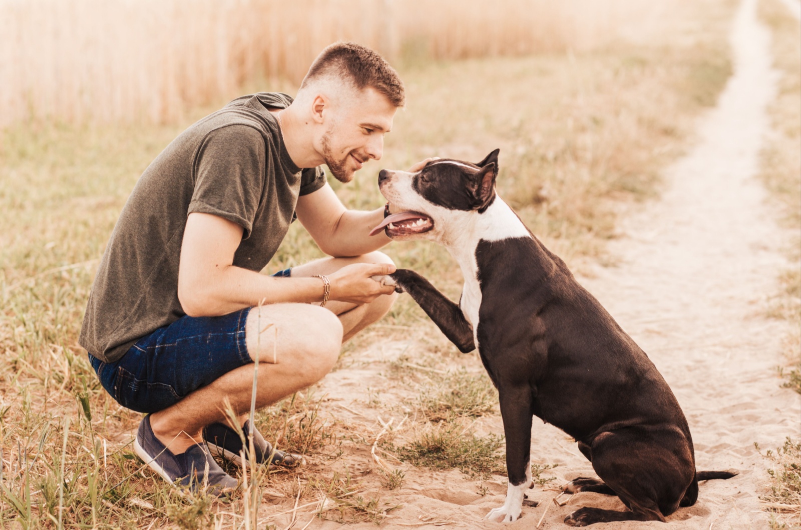 Pit Bull and young owner