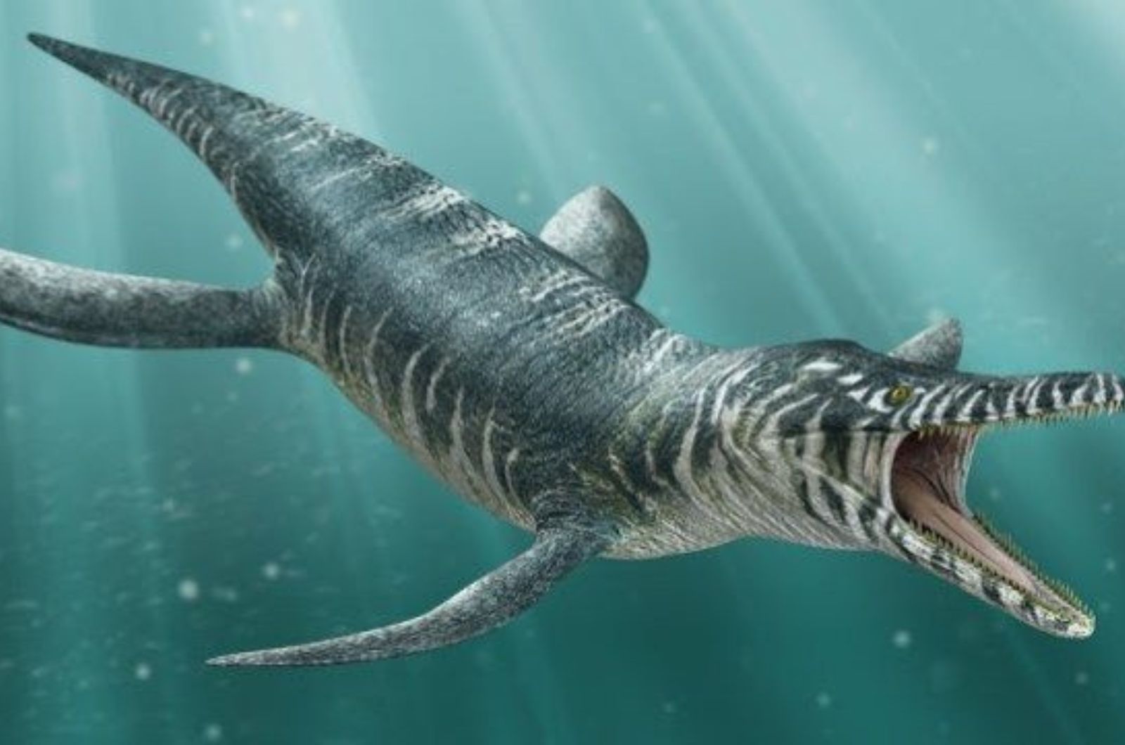 Pliosaurus