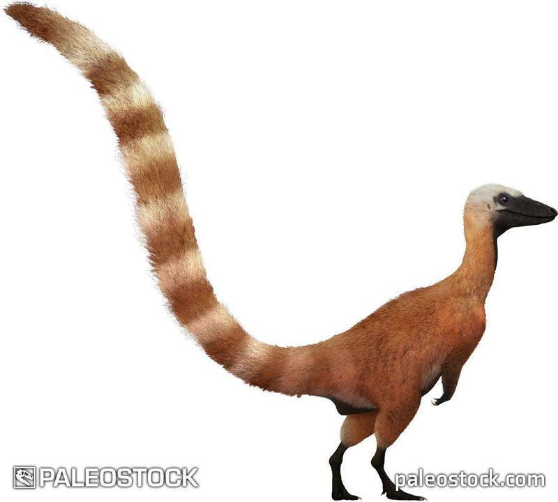 Sinosauropteryx