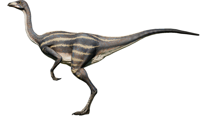 Struthiomimus