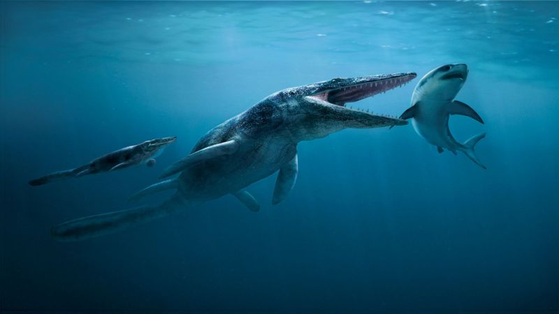 Tylosaurus