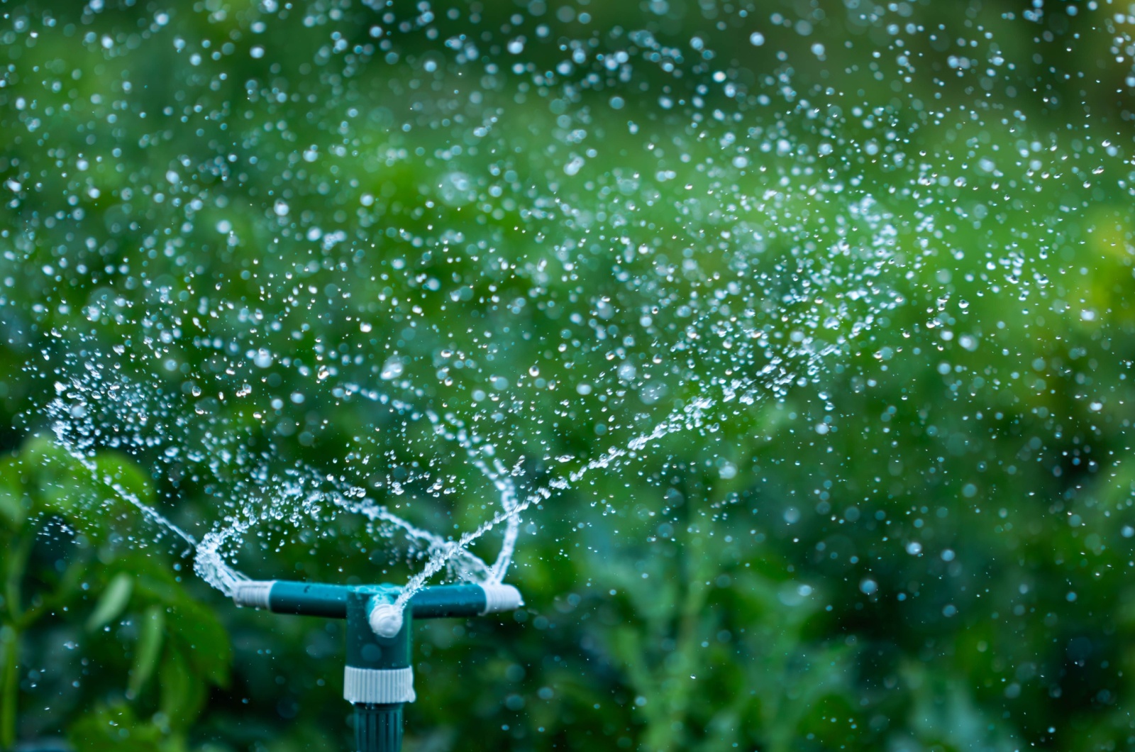 Water Sprinkler