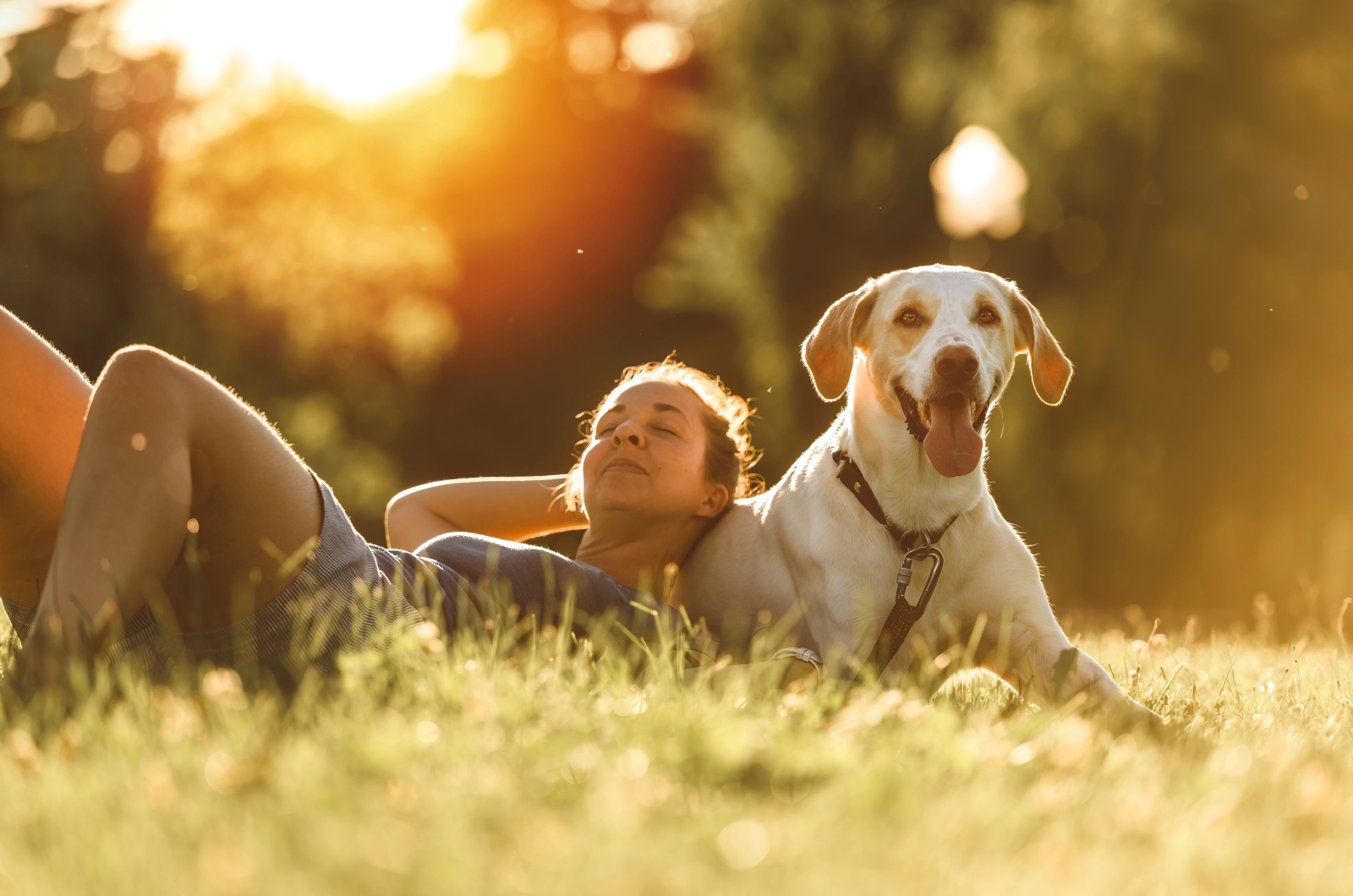 Woman and dog relaxing