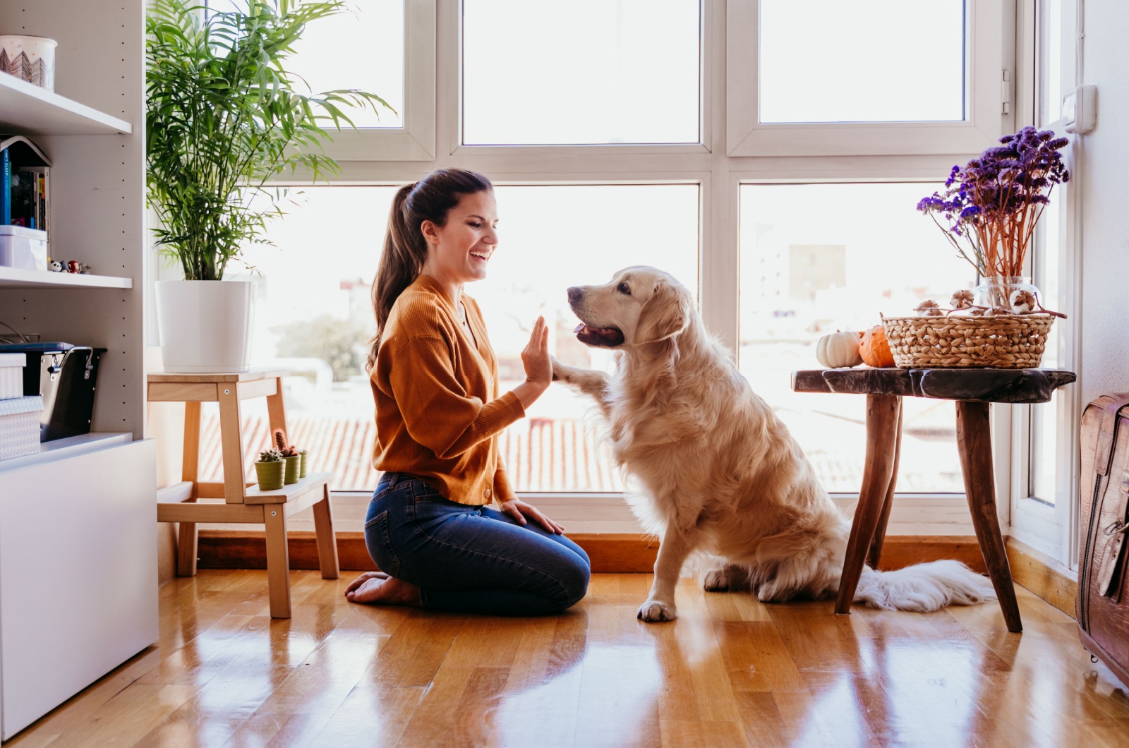 Woman high five a dog