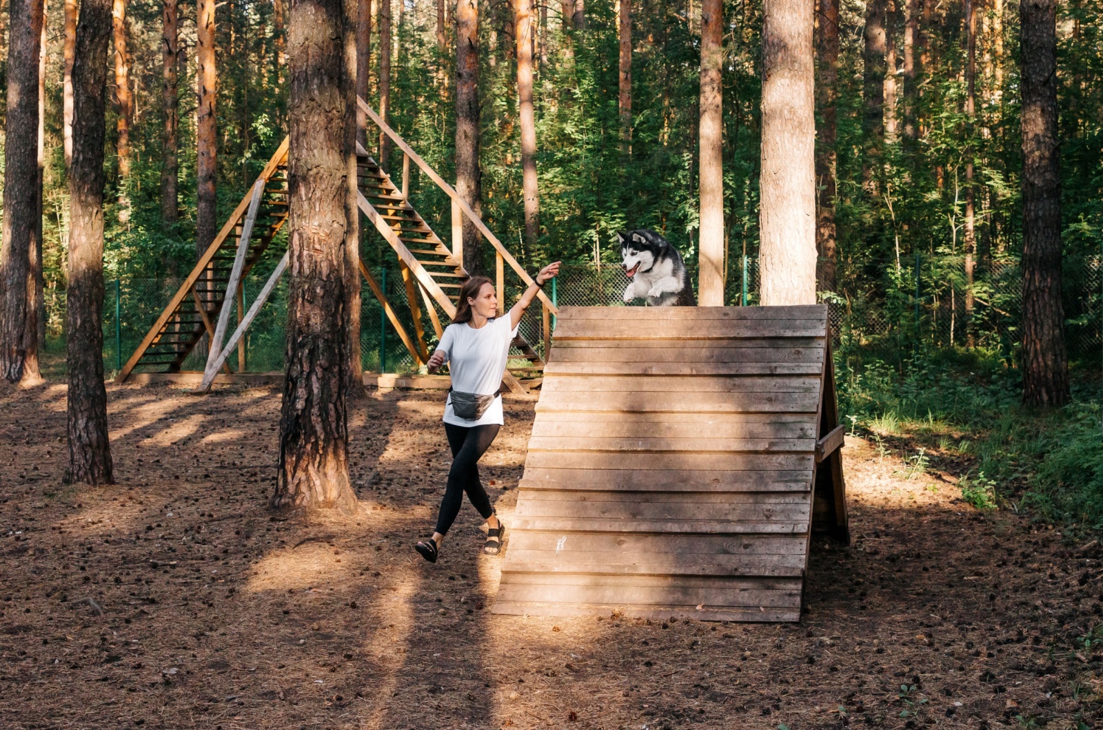 Woman training a dog