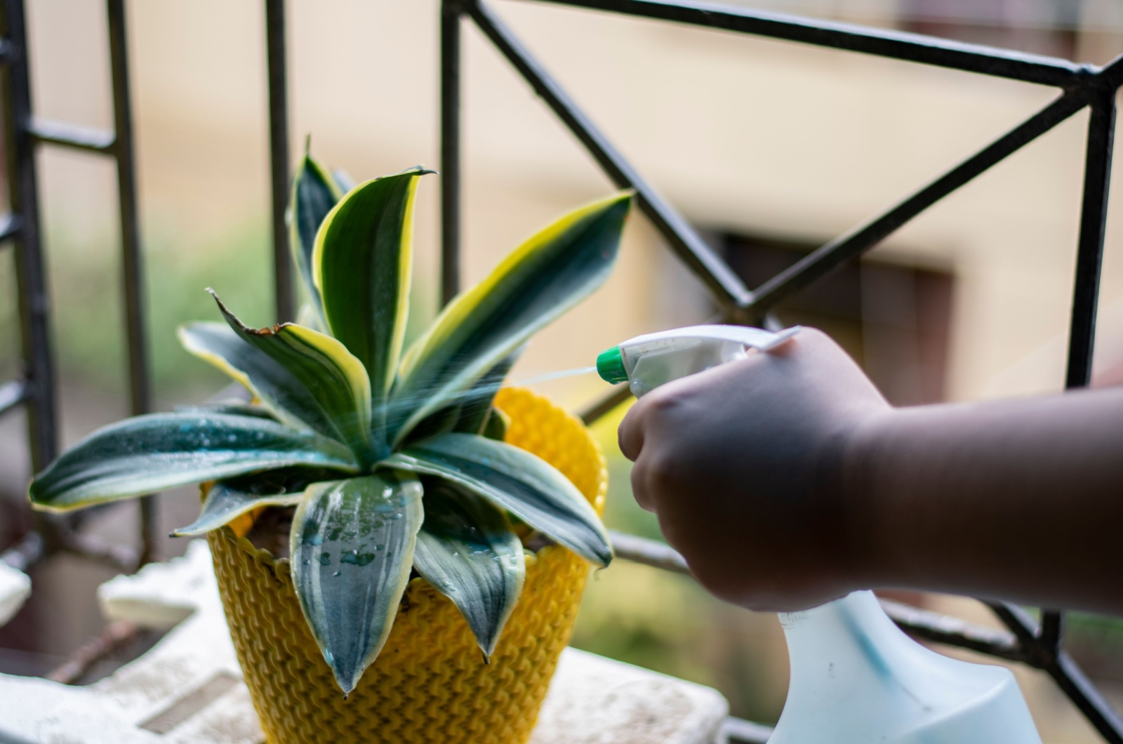 Woman using Repellent Spray