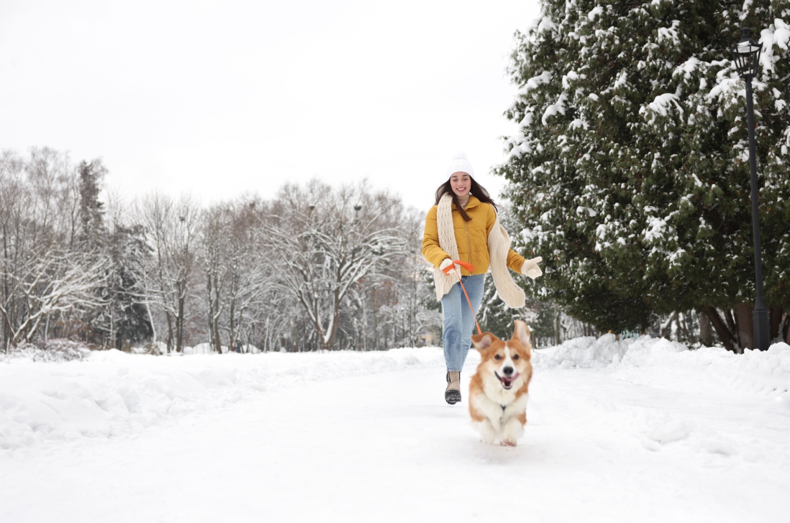 Woman walking a dog