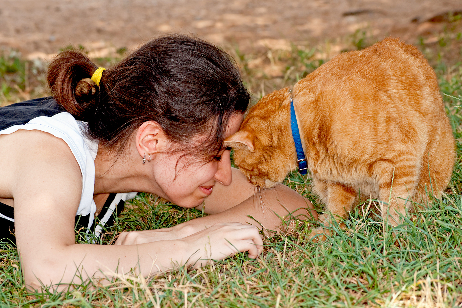 cat and female touching heads