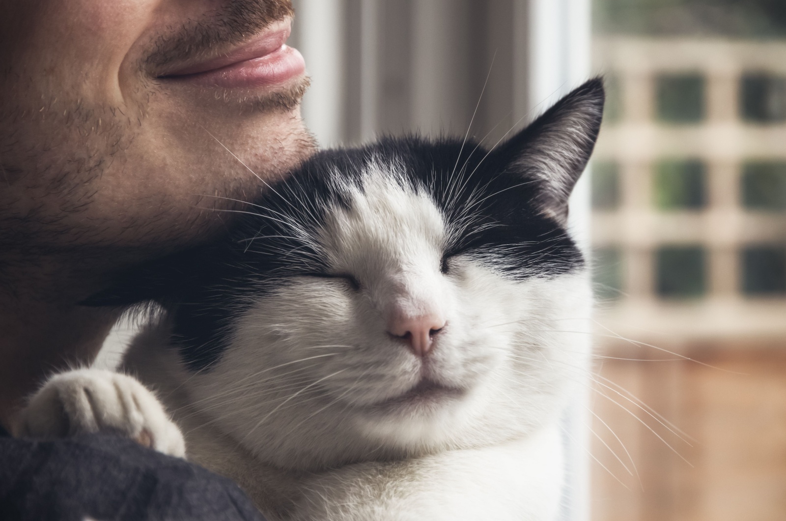 cat cuddling with man