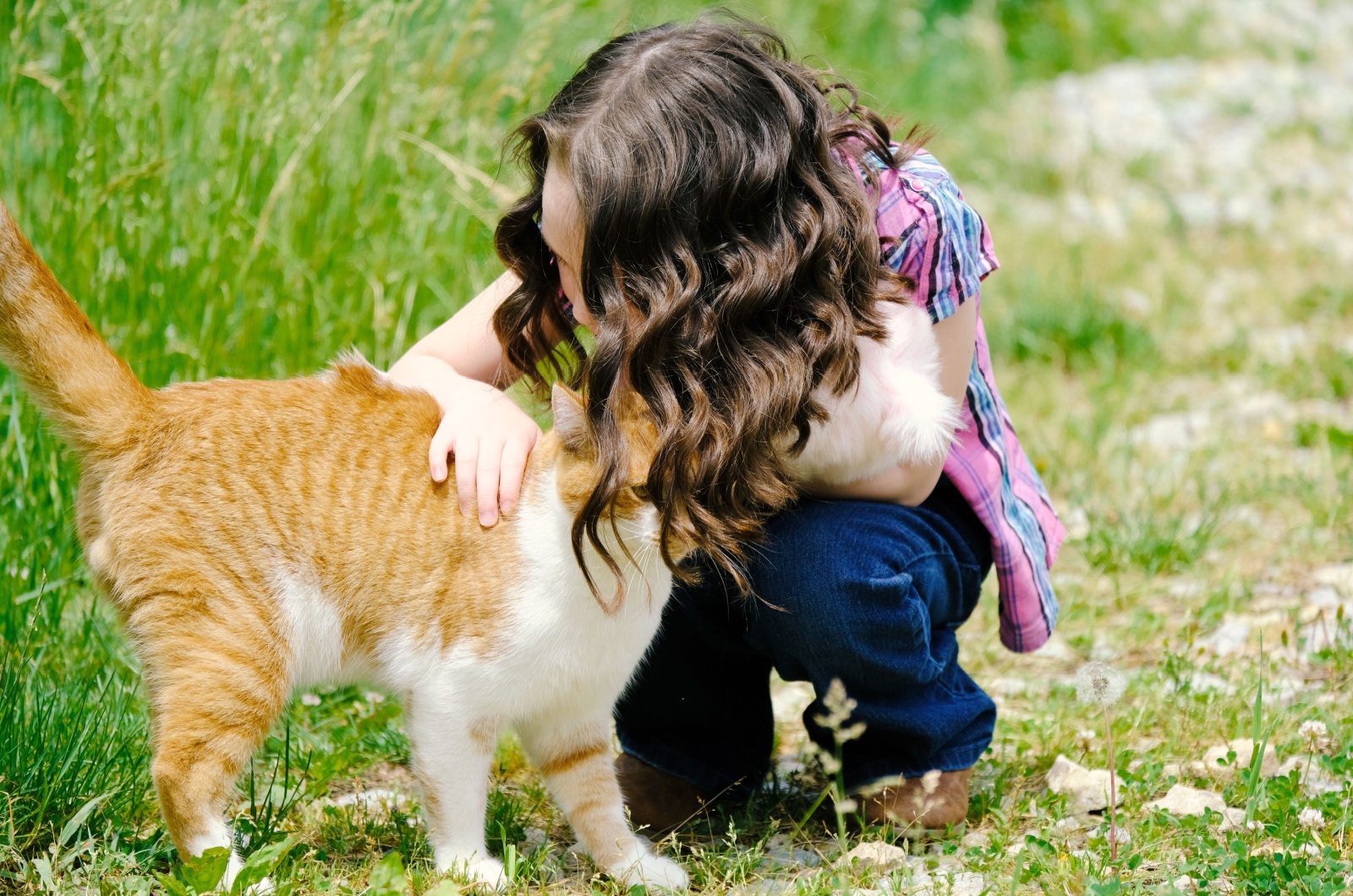 cat draging by the woman